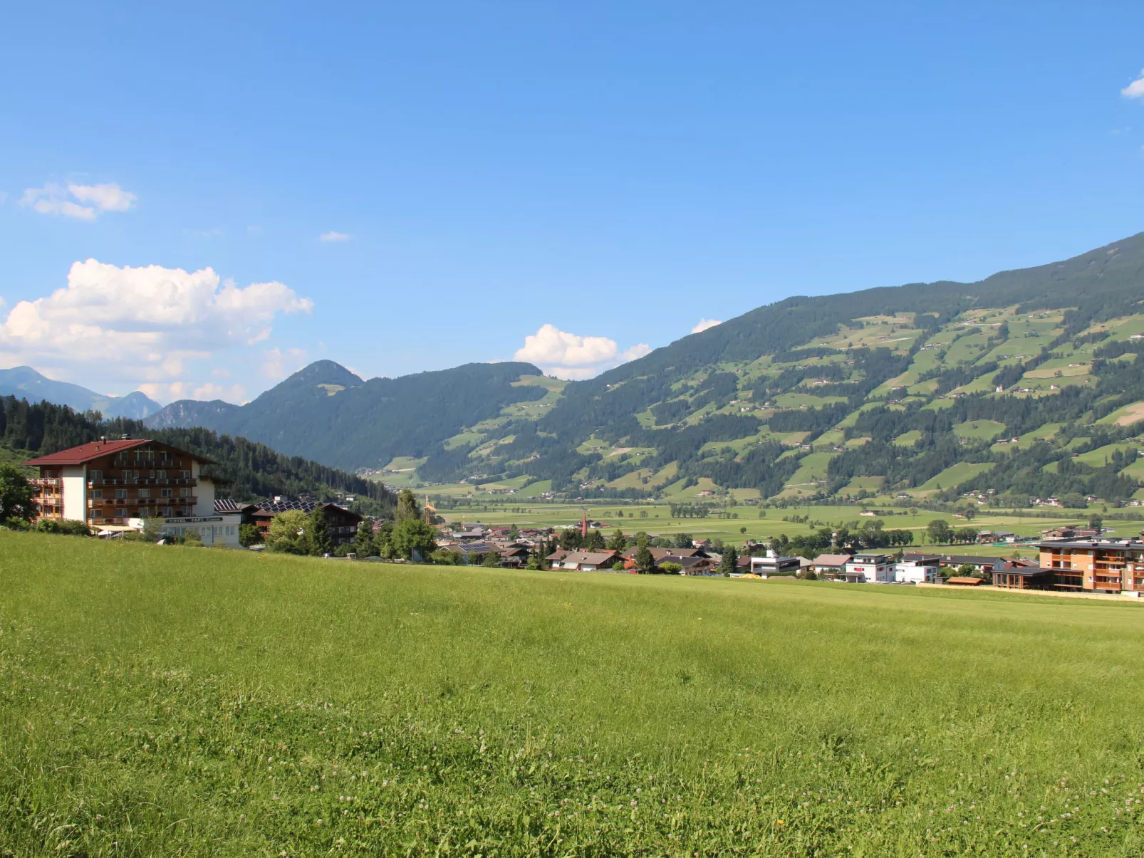 Johann-Area