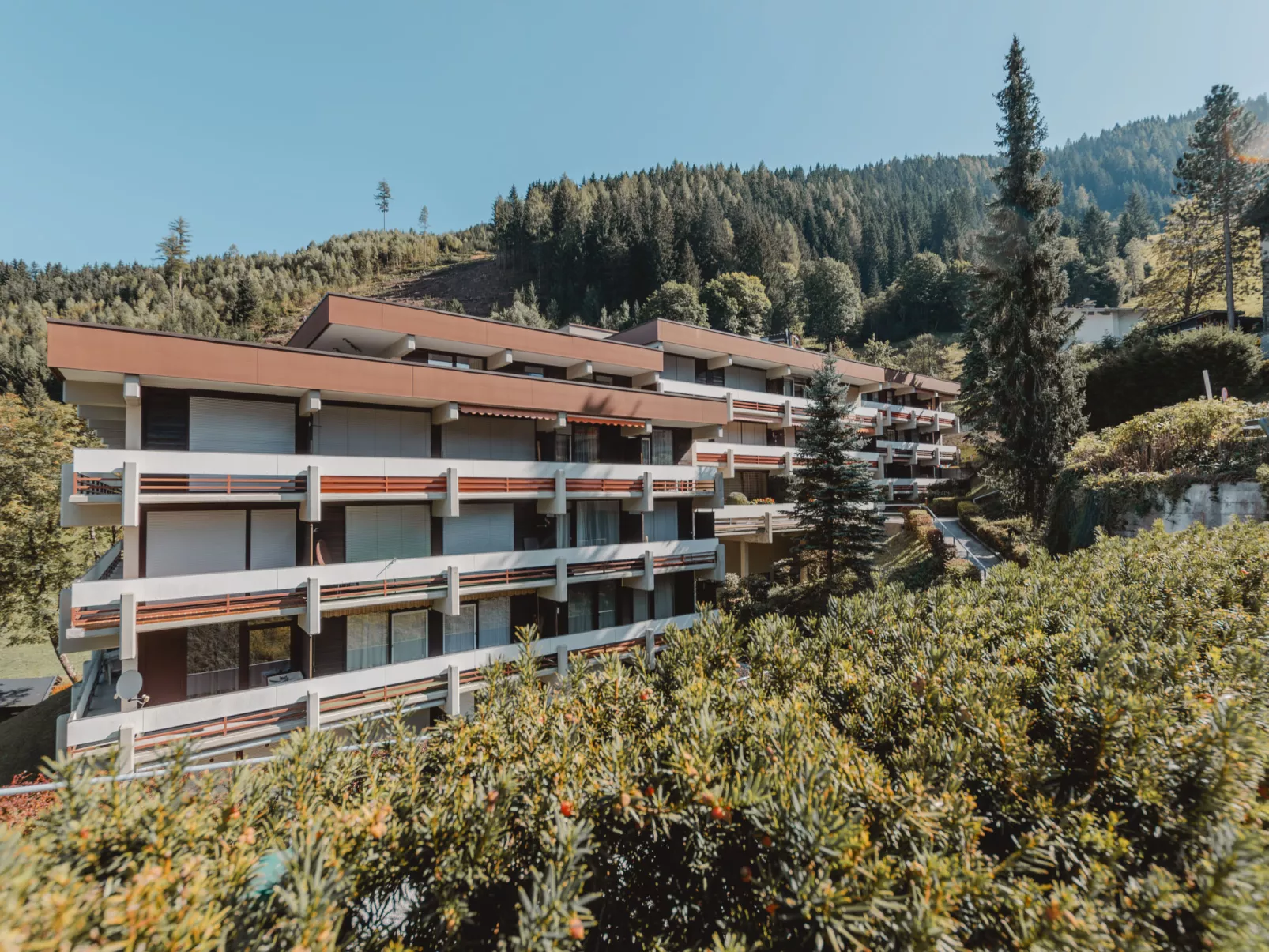 Alpenpanorama-Outside