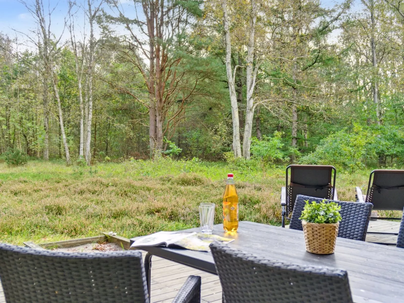 "Esteri" - 800m from the sea-Outside