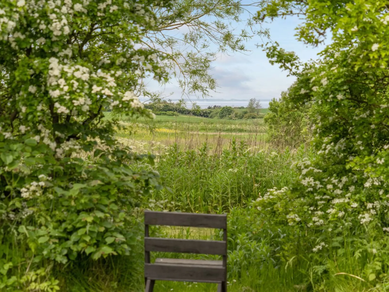 "Seppo" - 1.4km to the inlet-Draußen