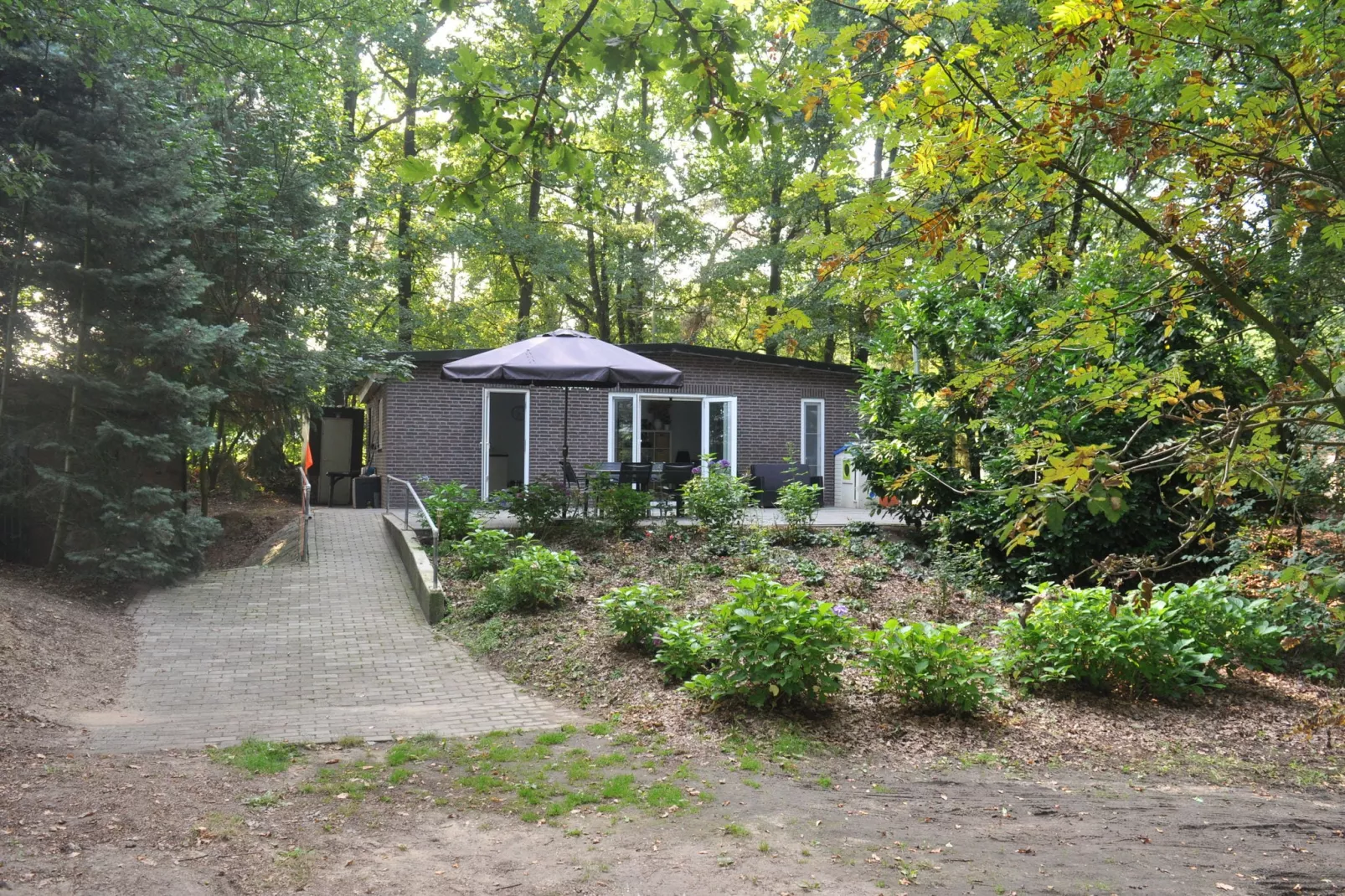 Dorpswoning In het Bos-Exterior summer