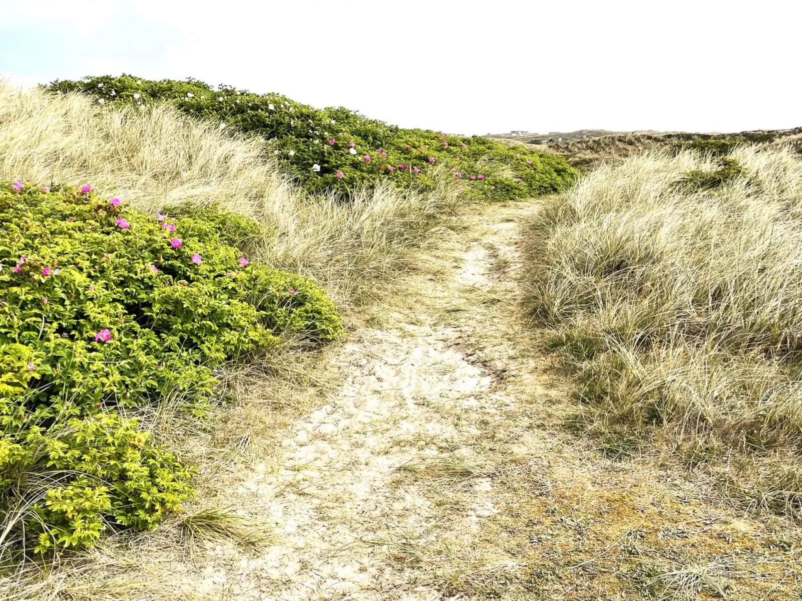 "Carelle" - 300m from the sea-Outside