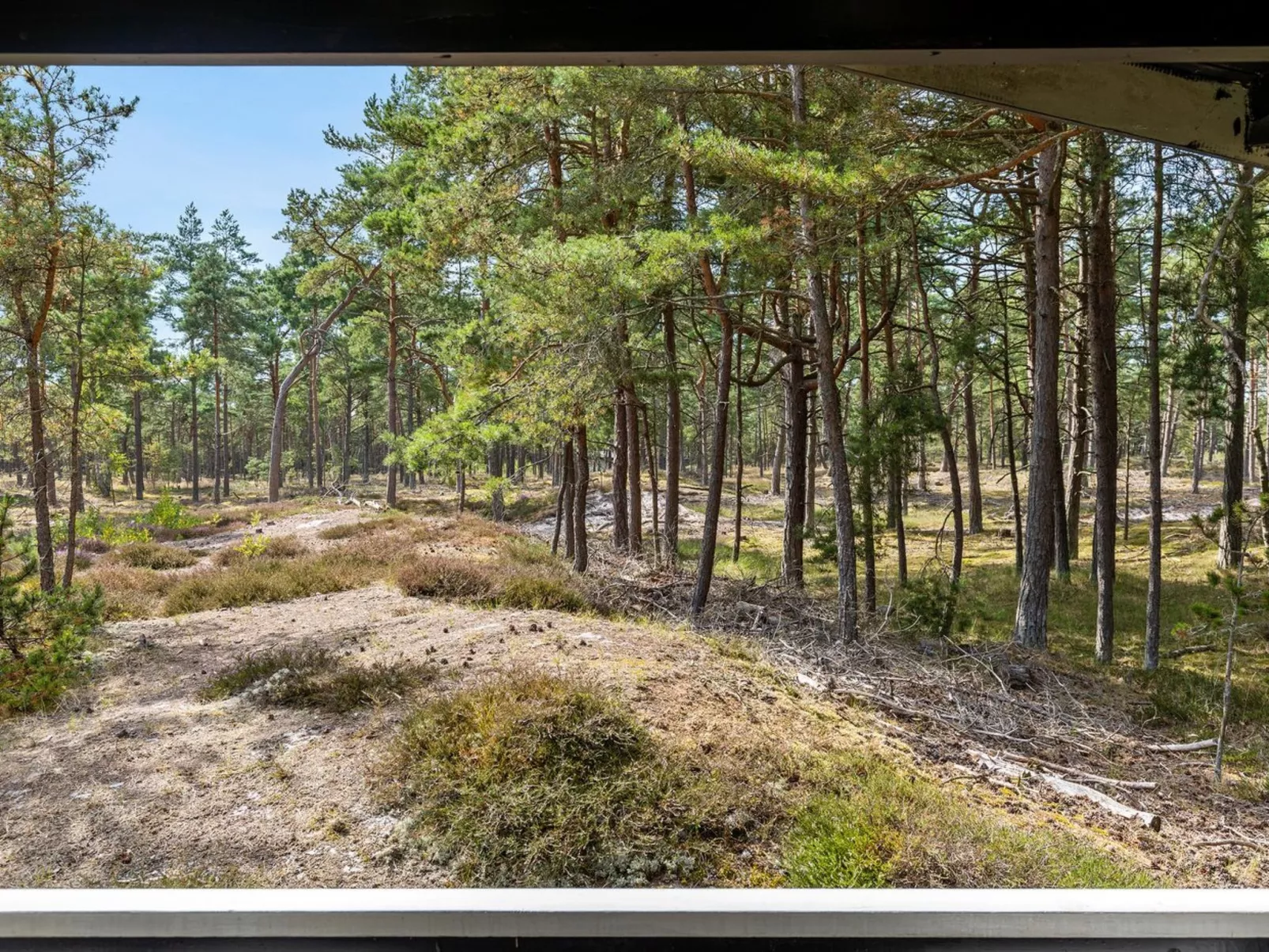 "Solfred" - 200m from the sea-Outside