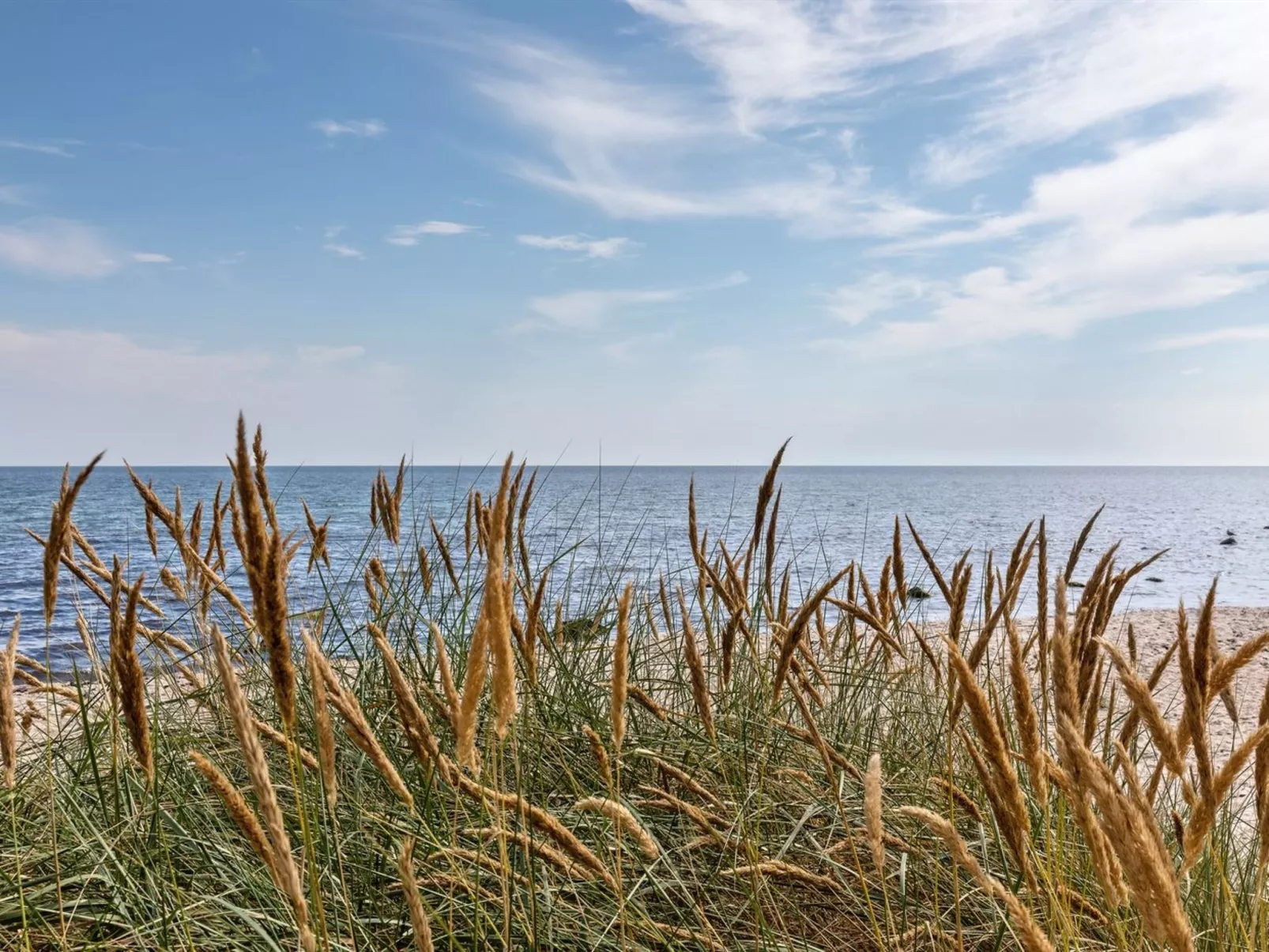 "Solfred" - 200m from the sea-Outside