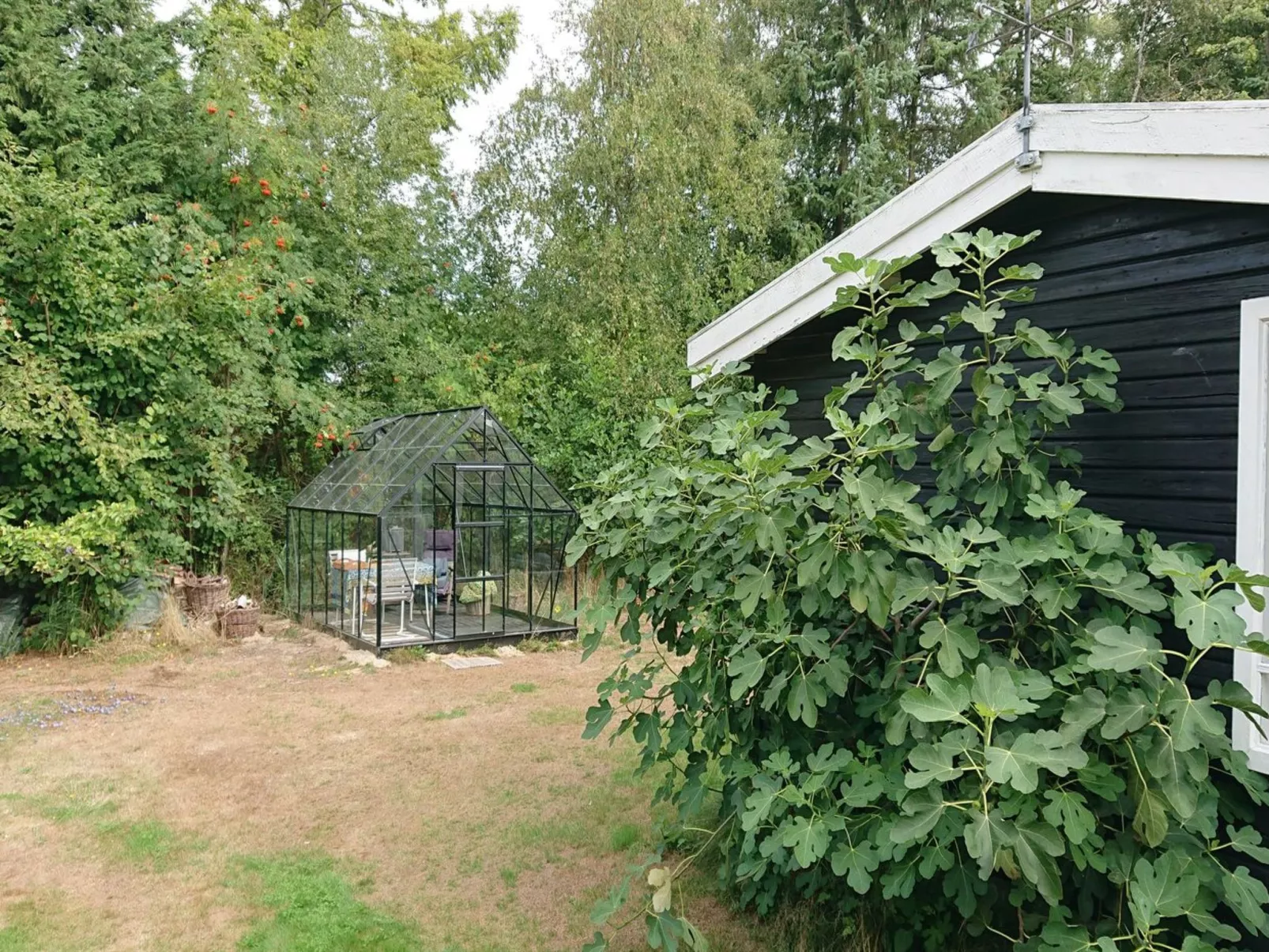 "Elisa" - 600m from the sea-Draußen