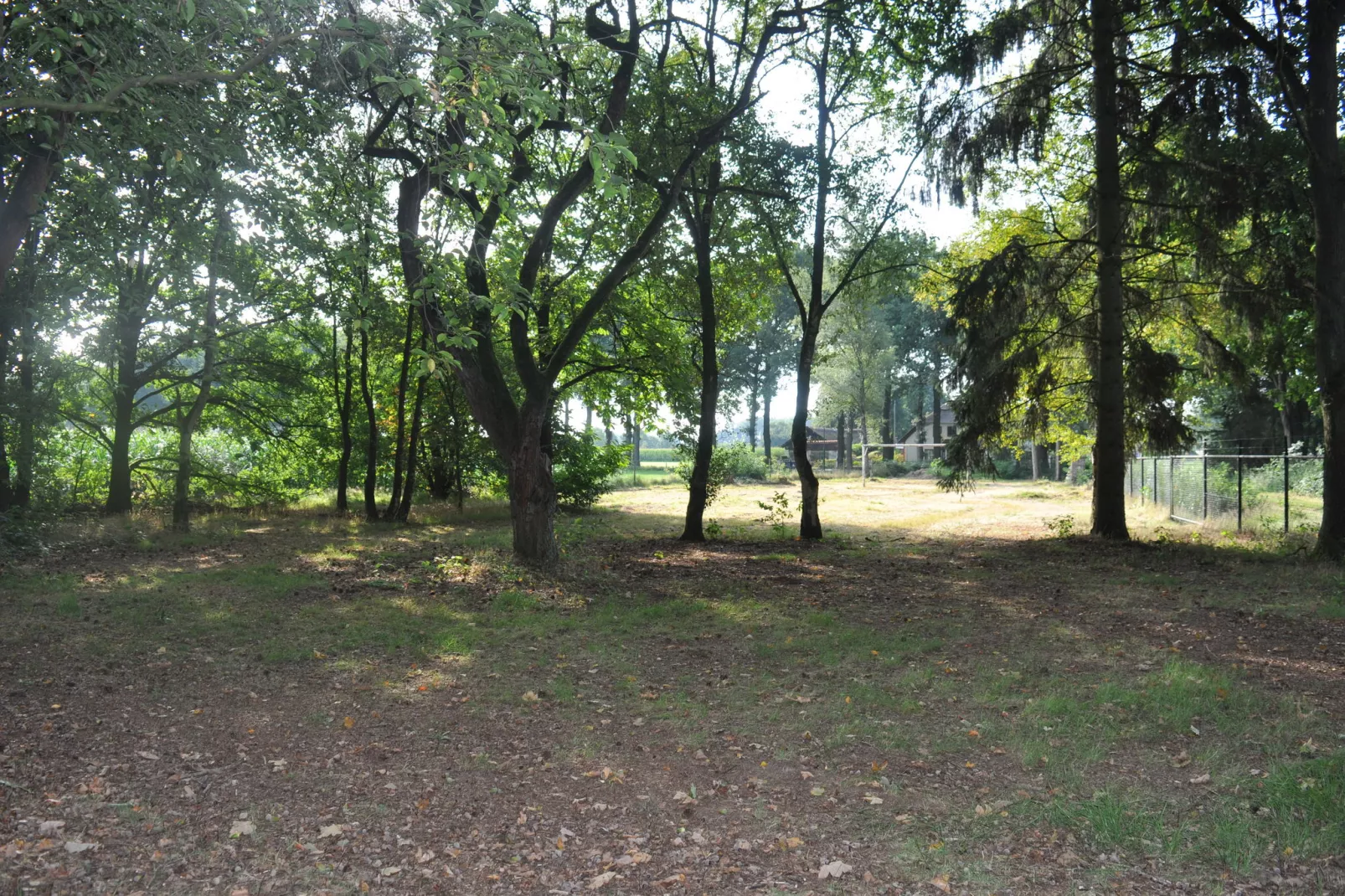 Dorpswoning In het Bos-Gardens summer