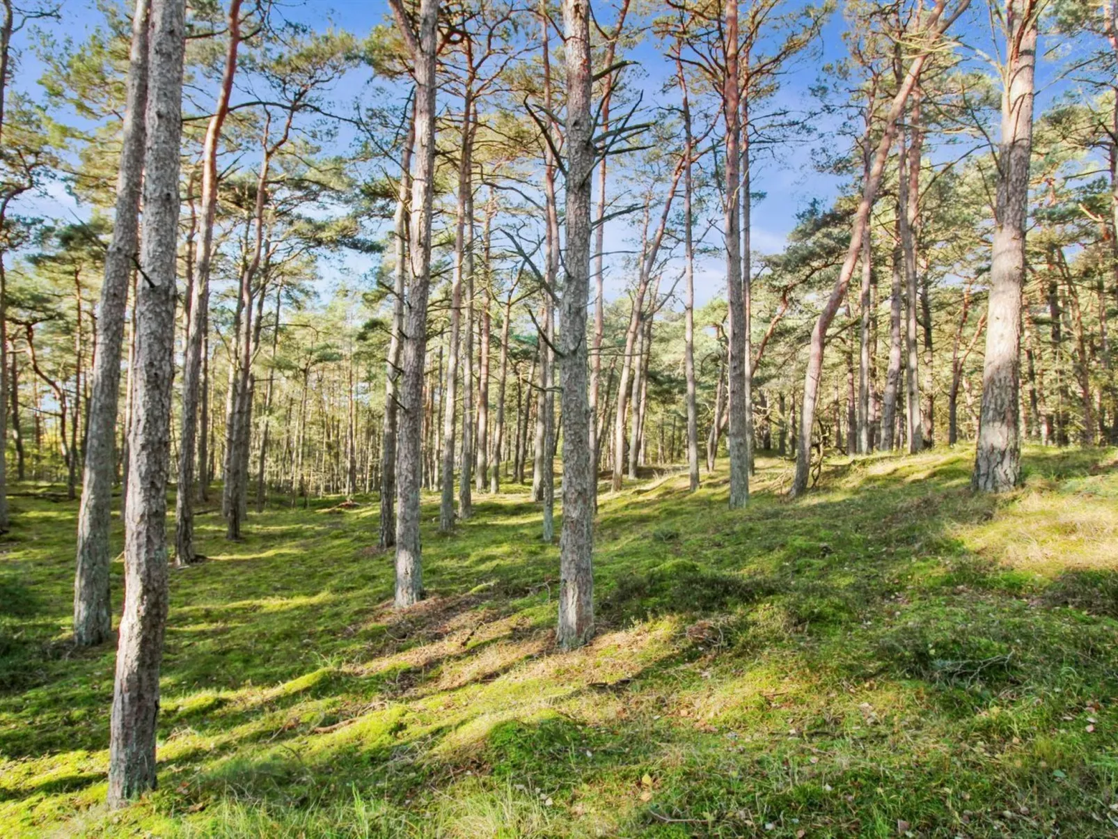 "Fredsine" - 1.2km from the sea-Outside