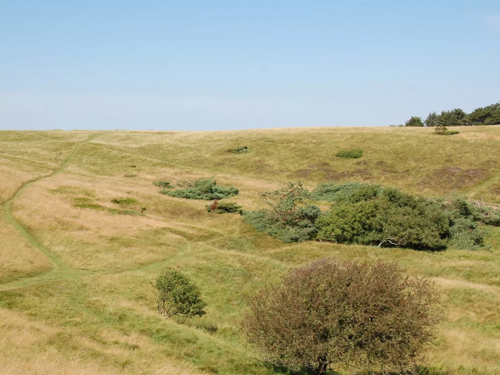 "Jonce" - 250m from the sea-Outside