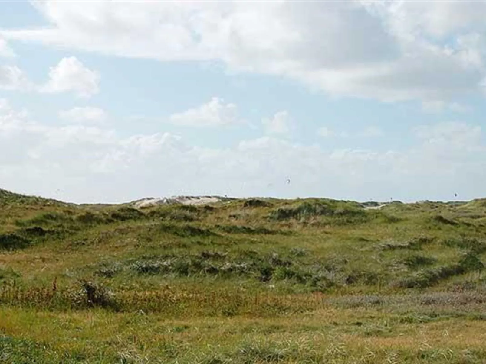 "Gunnlaug" - 500m from the sea-Inside