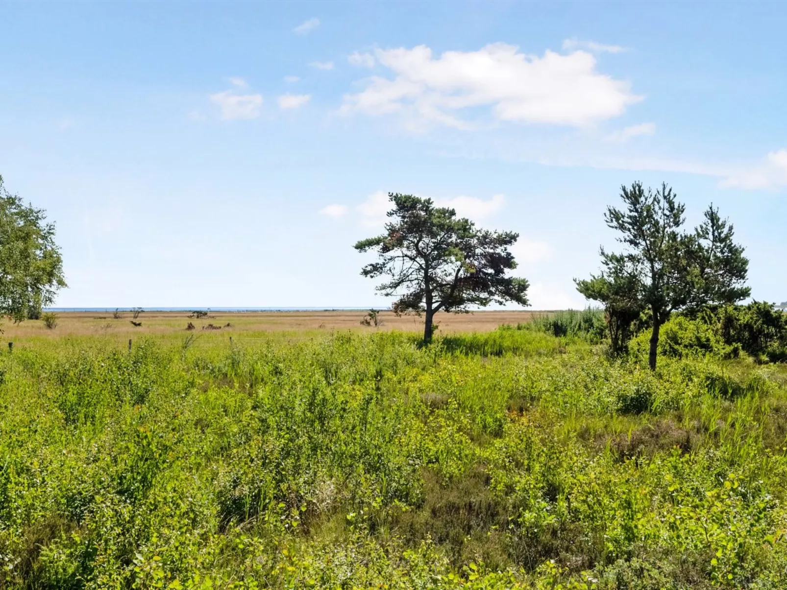 "Griselda" - 400m from the sea-Draußen