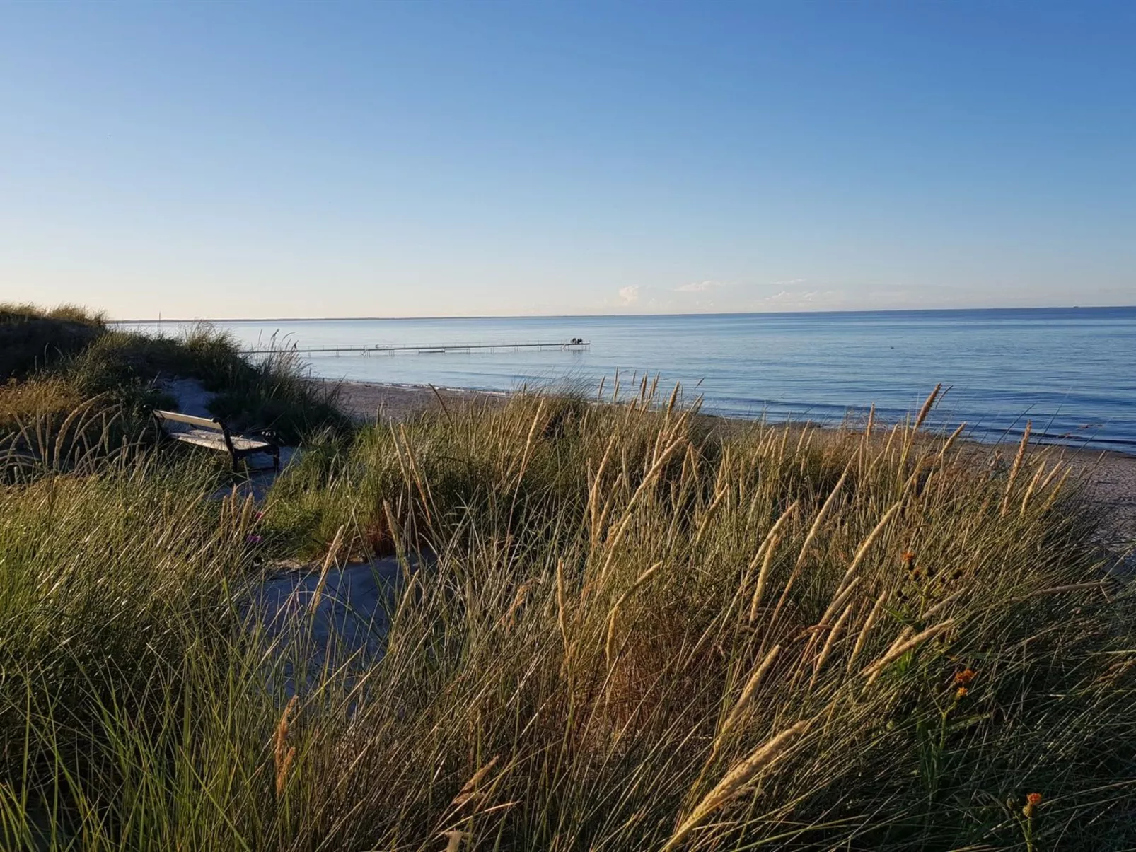 "Grep" - 800m from the sea-Drinnen