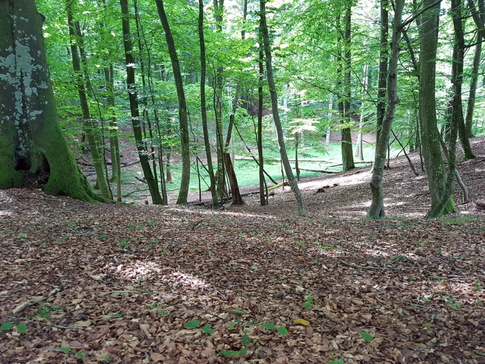 "Grep" - 800m from the sea-Drinnen