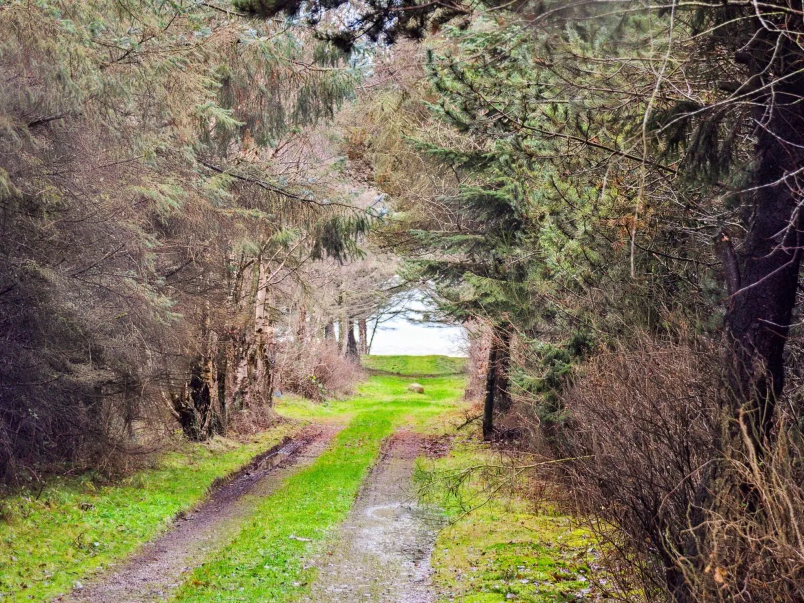 "Suri" - 200m to the inlet-Outside