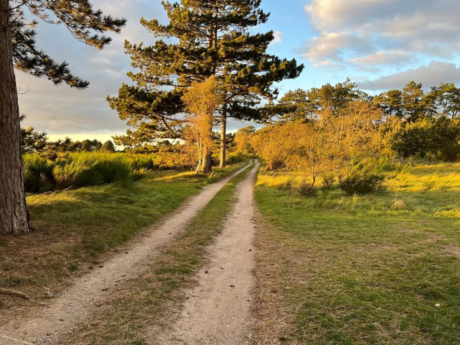 "Fietje" - 200m from the sea-Outside