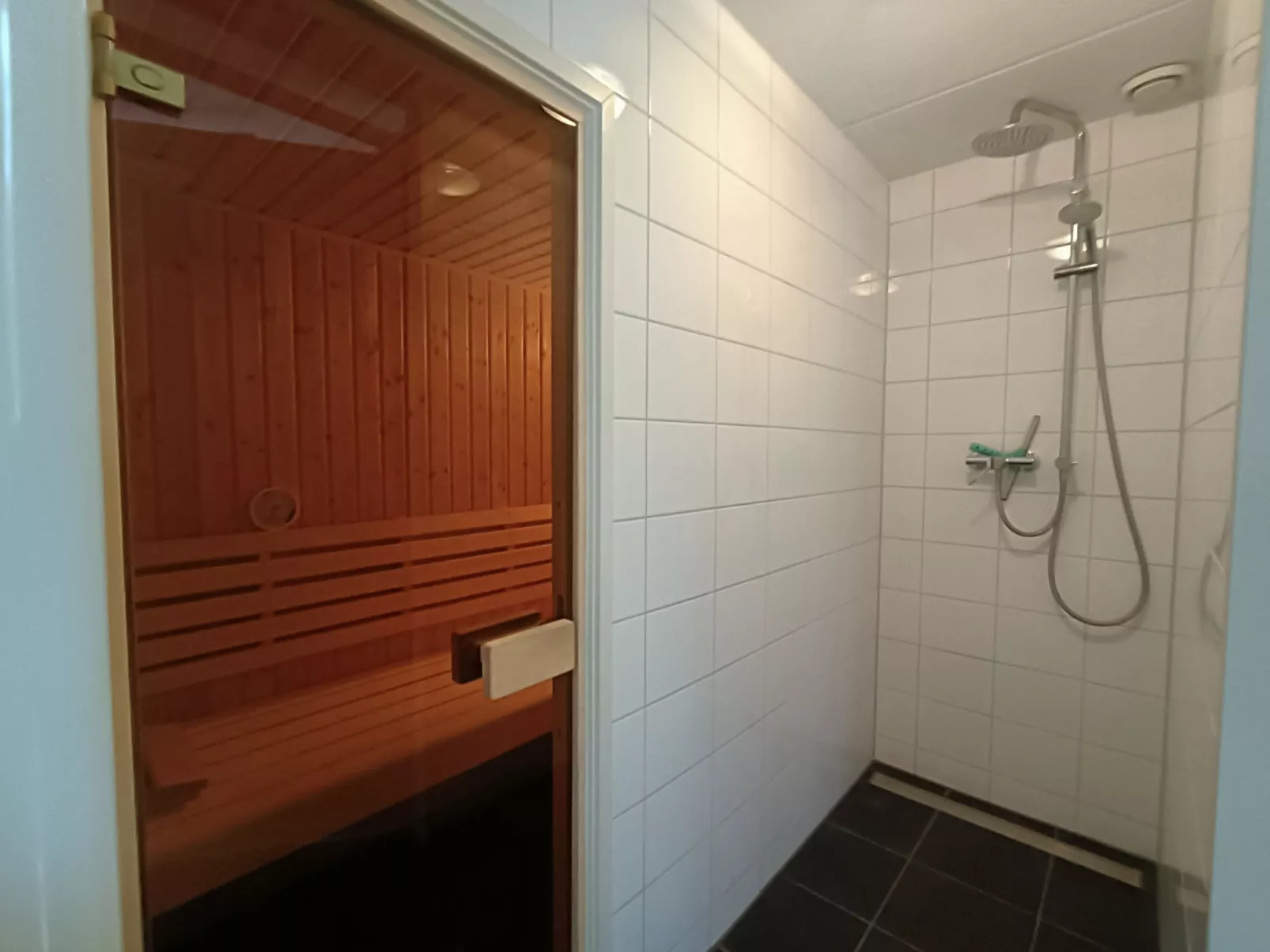 Villa Sauna 6-Drinnen