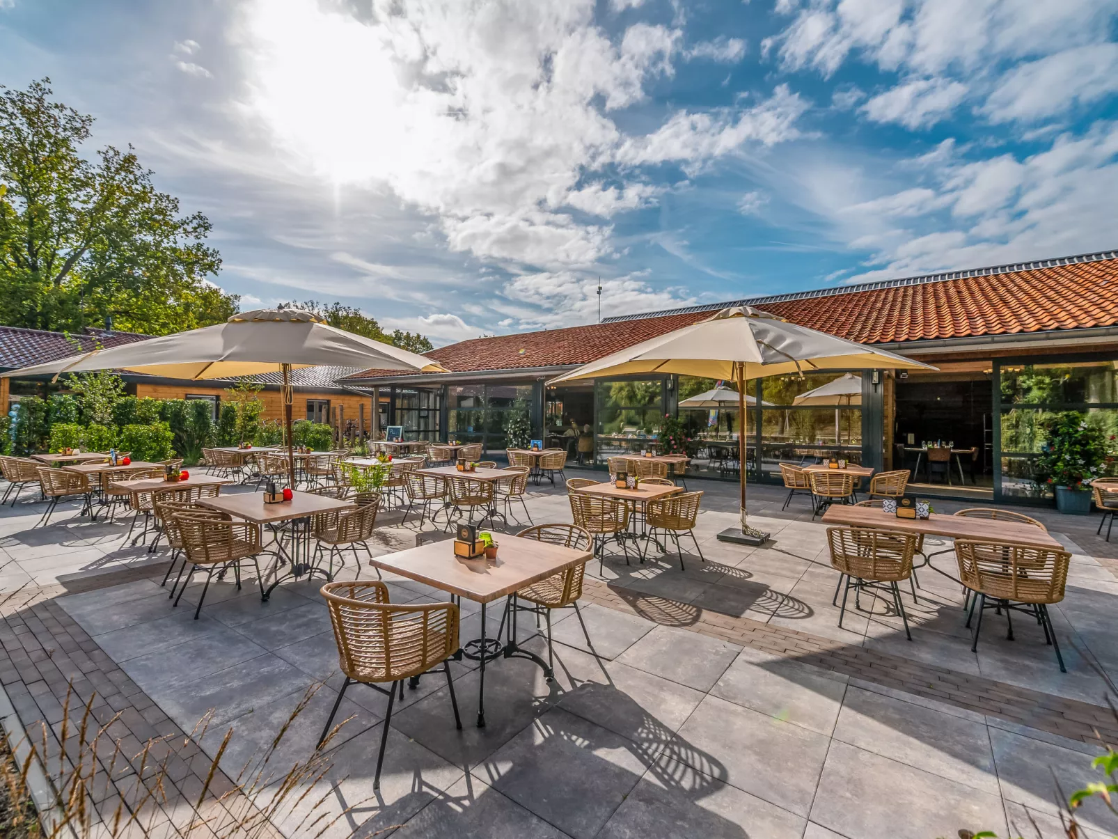 Fins Chalet-Area
