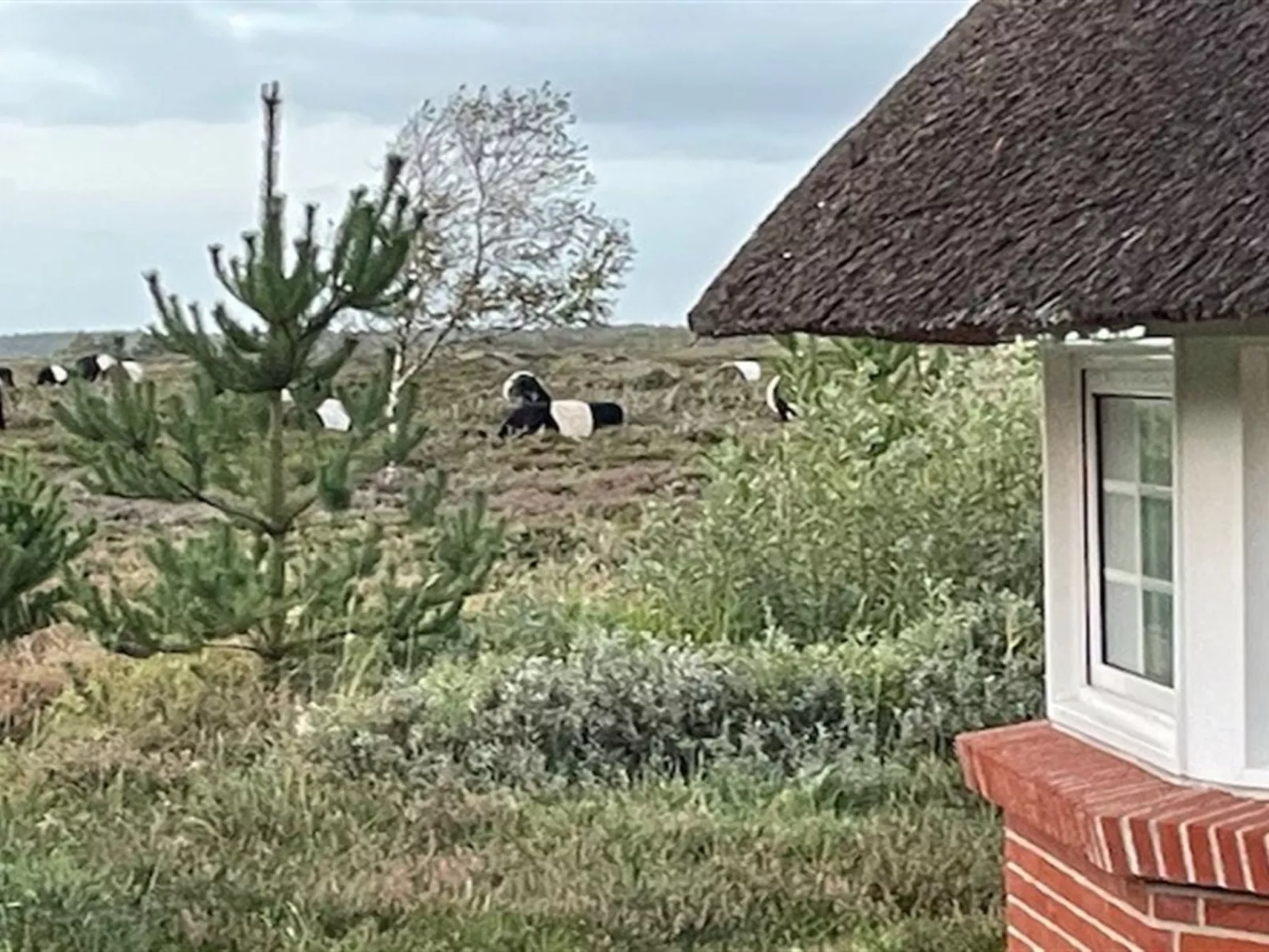 "Artan" - 2.6km from the sea-Inside