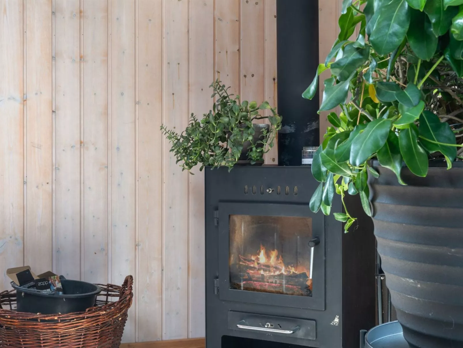 "Dagna" - 400m from the sea-Outside