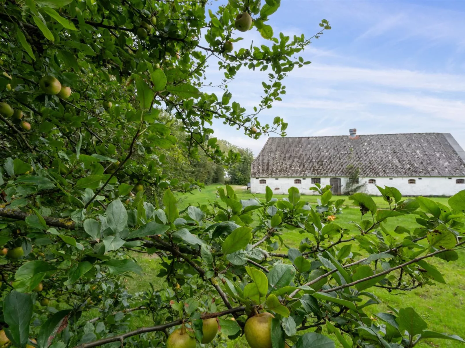 "Landuin" - 30km from the sea-Outside
