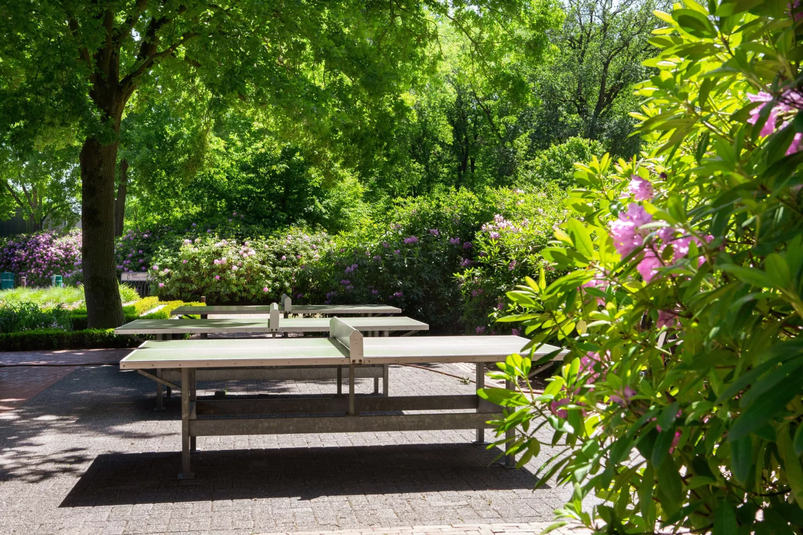 Vakantiepark Latour 1-Park facilities