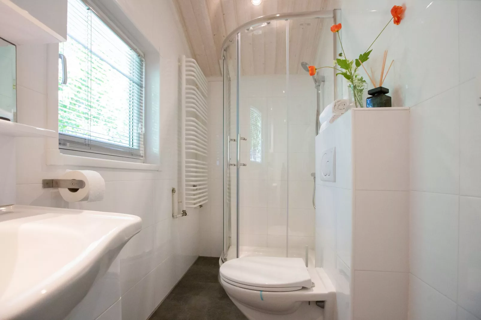 Vakantiepark Latour 3-Bathroom