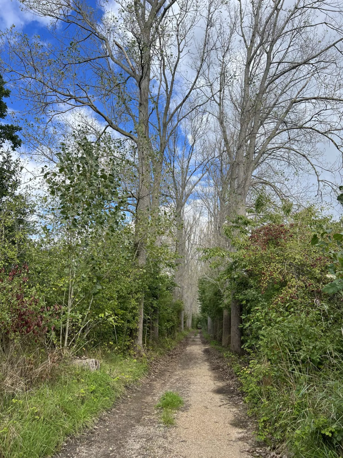 Parkzicht-Outside