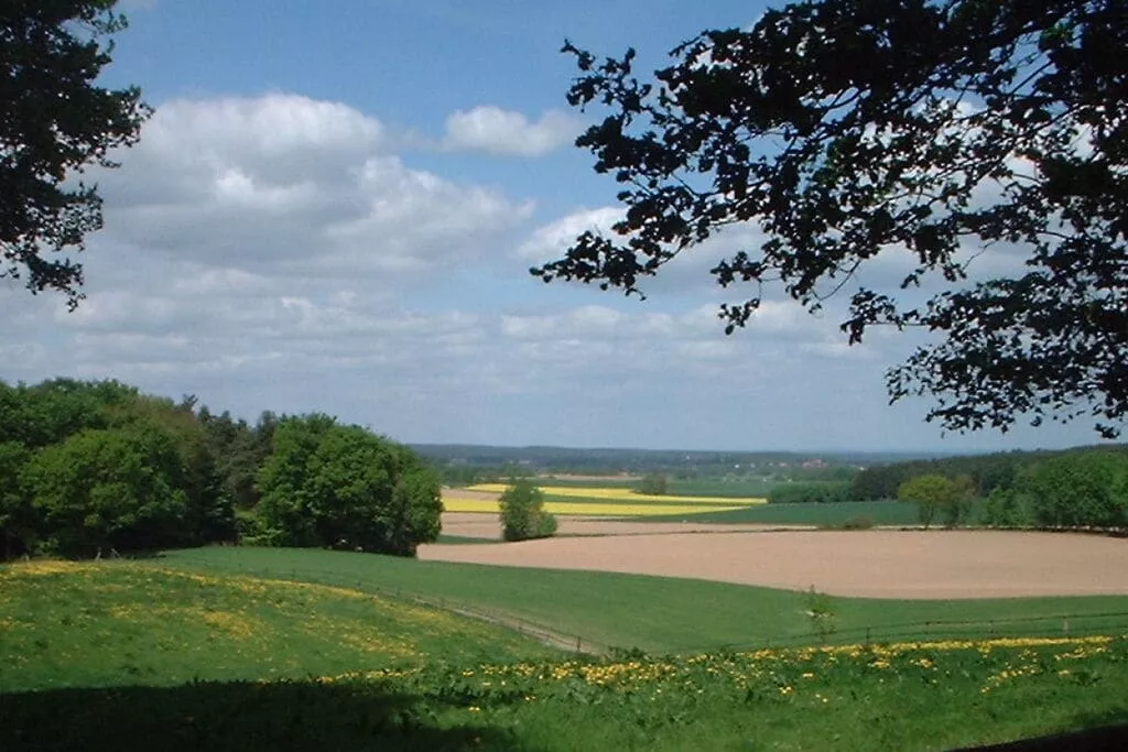 126449-View