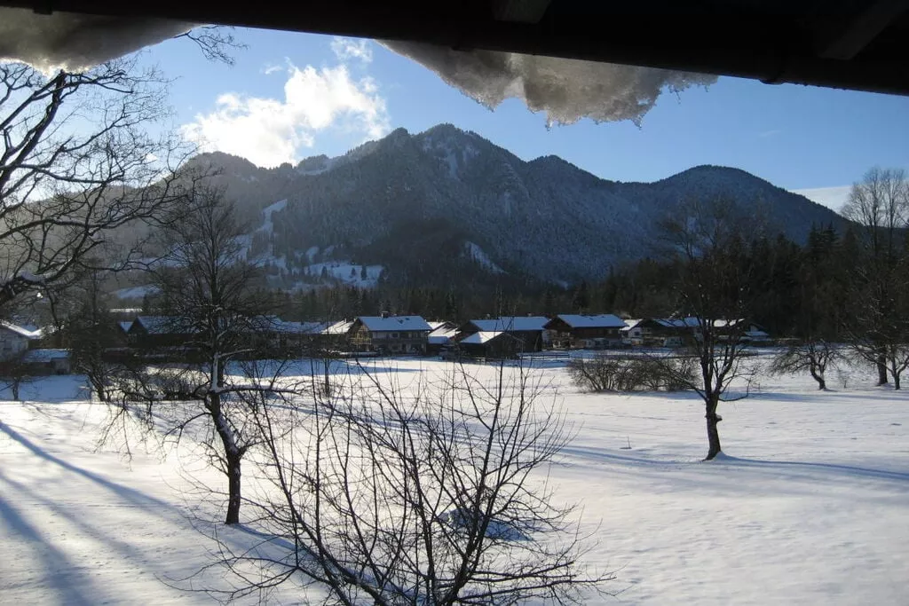 53533-View