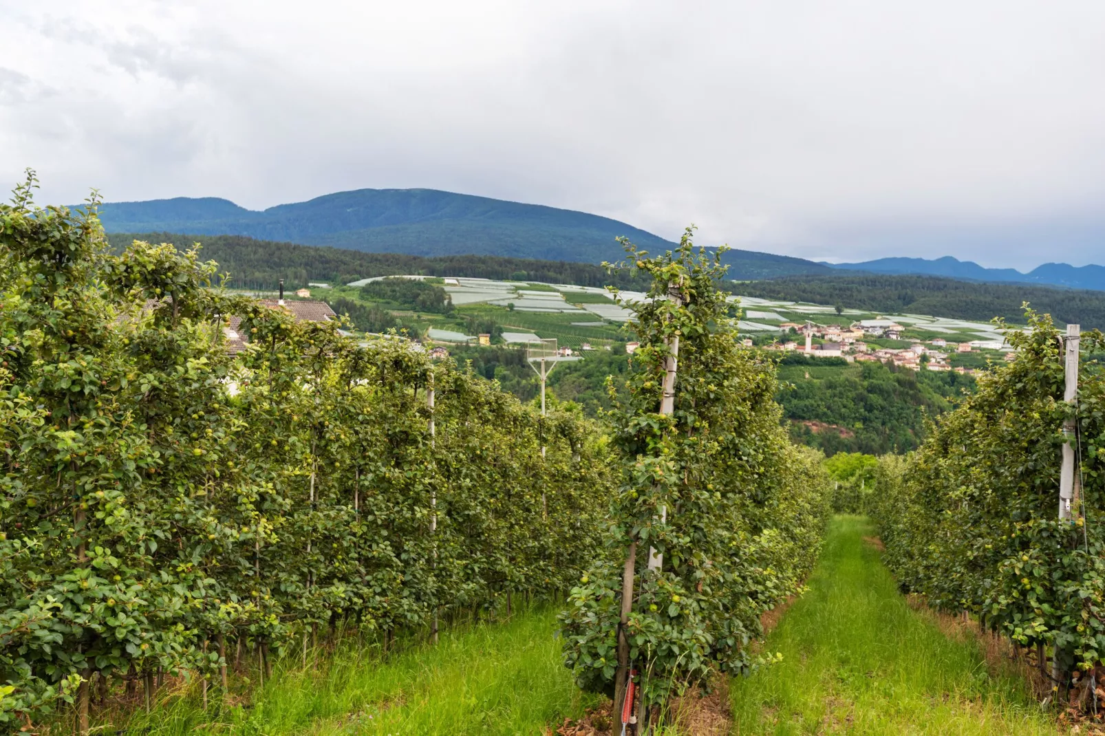 Gala Mansarda-Gebiete Sommer 1 km