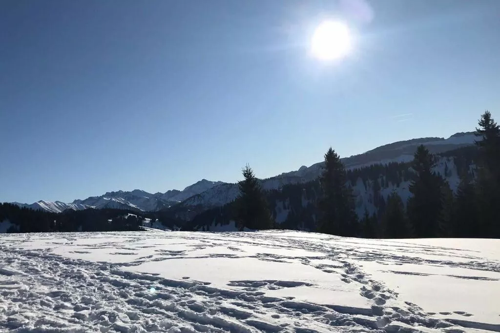 61080-Nicht getaggt