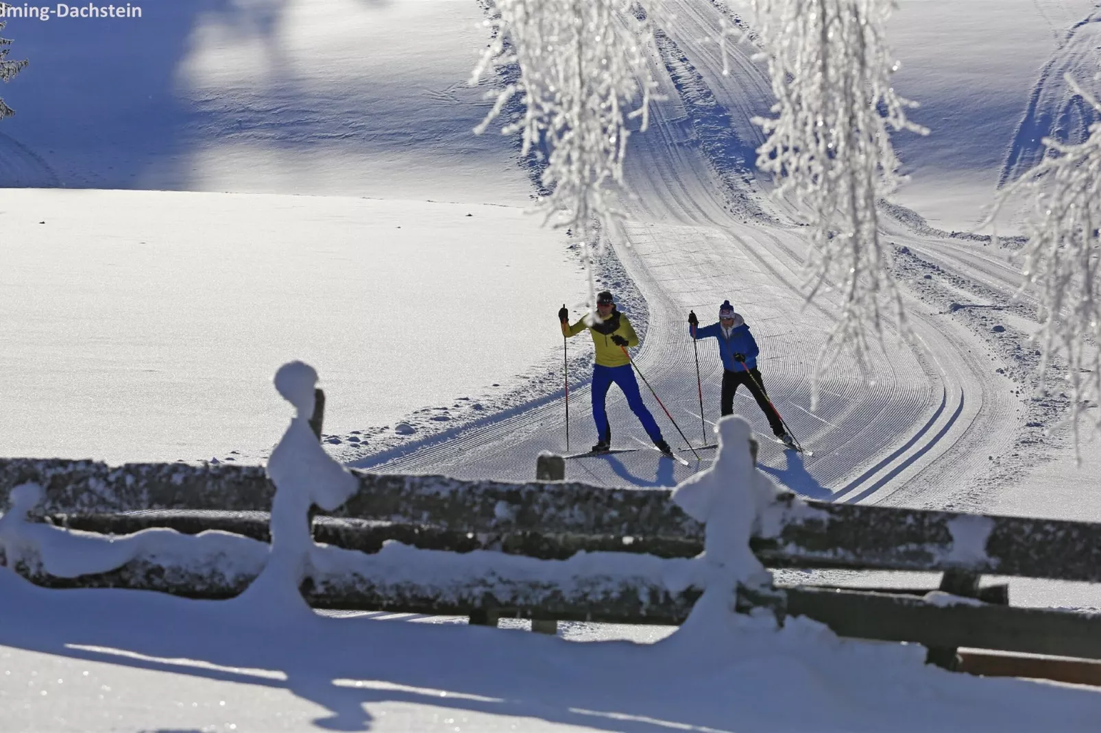 Bergresort Hauser Kaibling 9-Area winter 1km