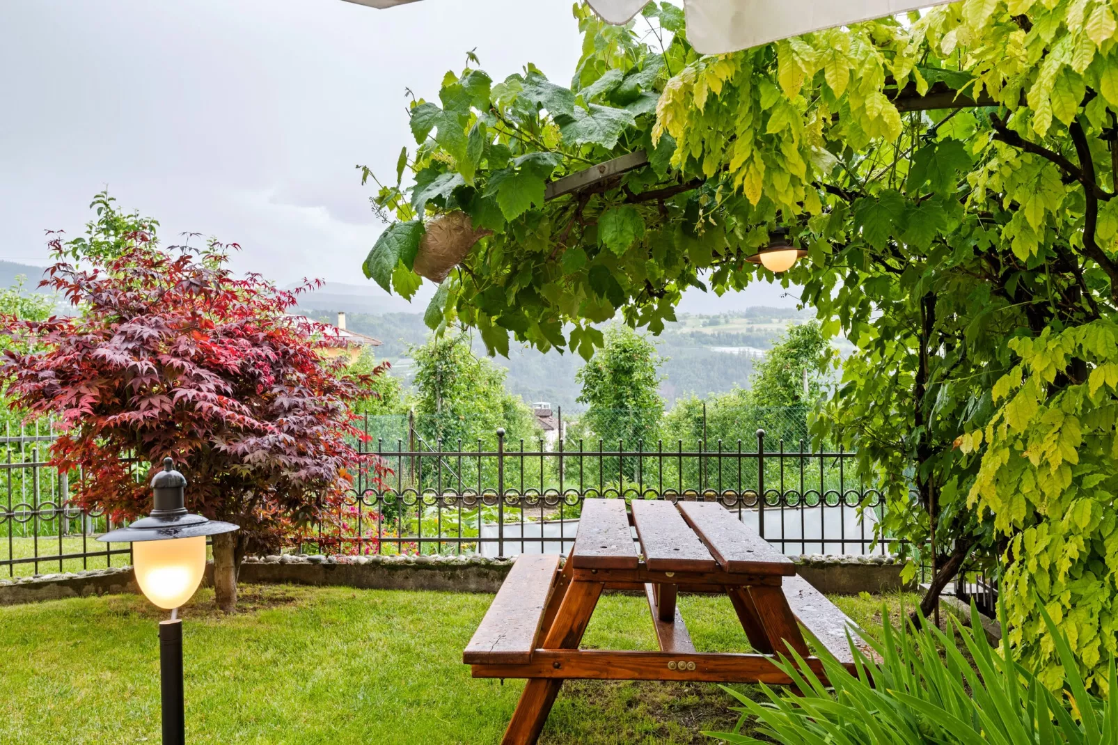 Golden Delicious-Garten Sommer