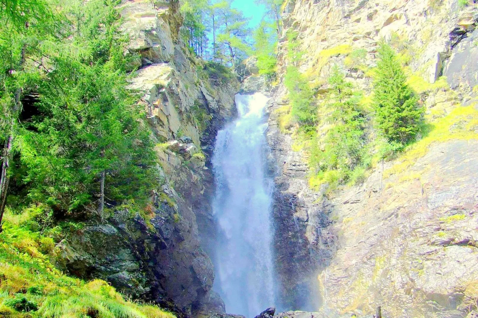 Fior di melo-Areas summer 5km