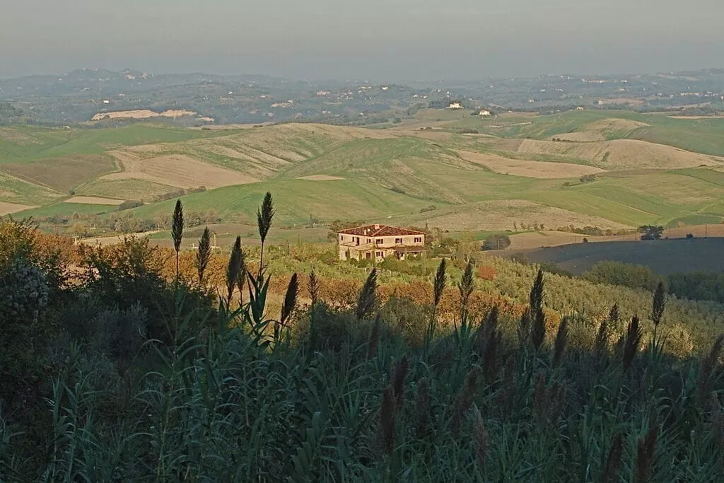 64368-View