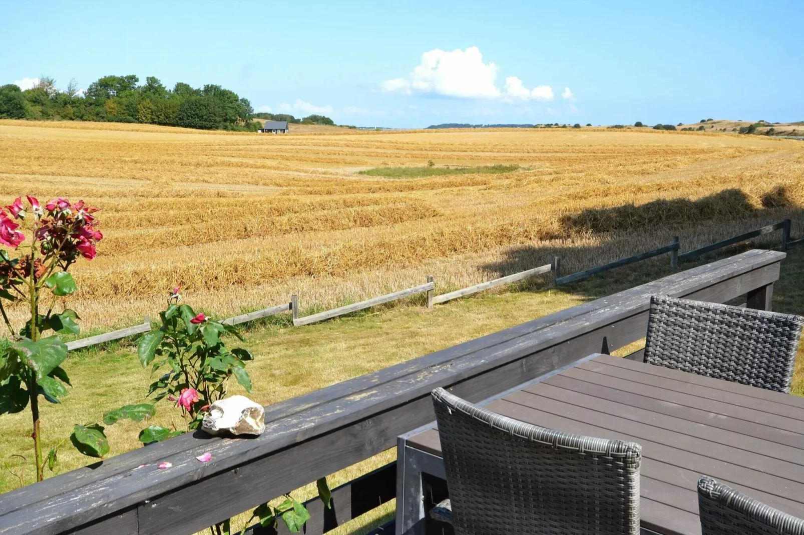 6 person holiday home in Martofte-Outdoor