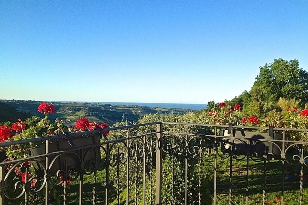81490-View