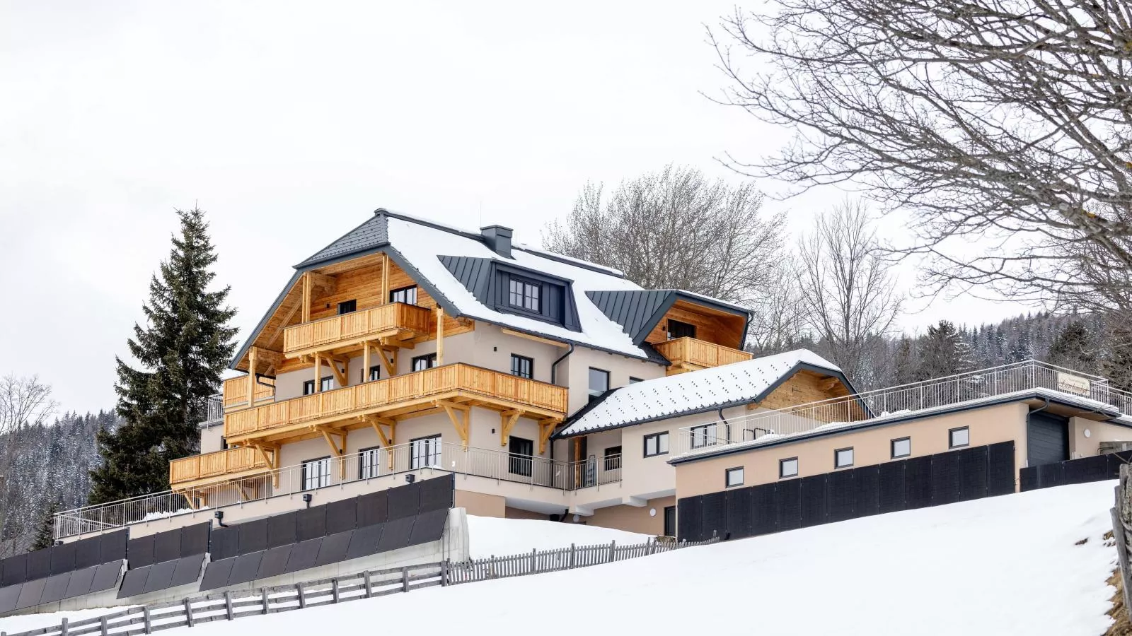 Lärchenhof Top 202-Exterior winter