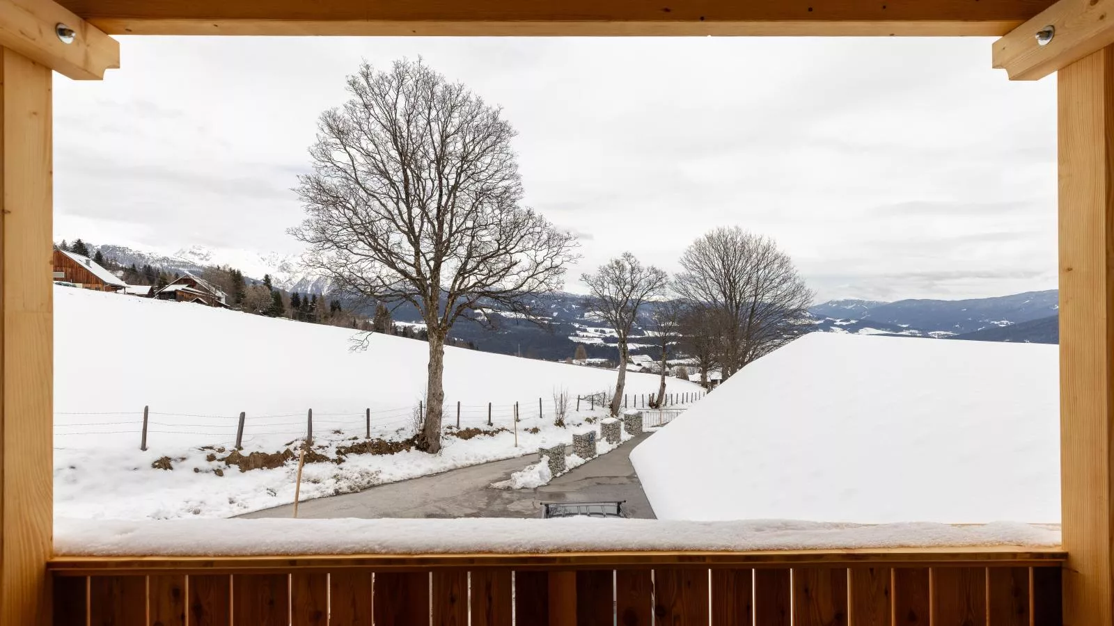 Lärchenhof Top 203-View winter