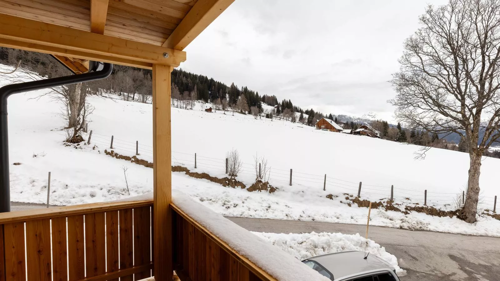 Lärchenhof Top 203-View winter