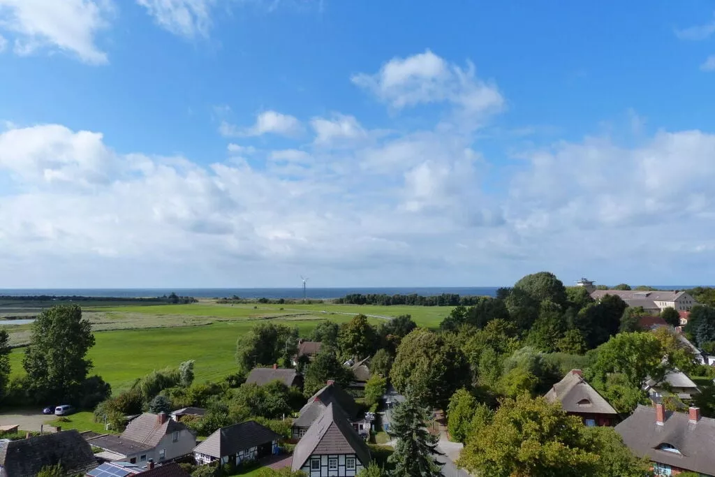 288667-View