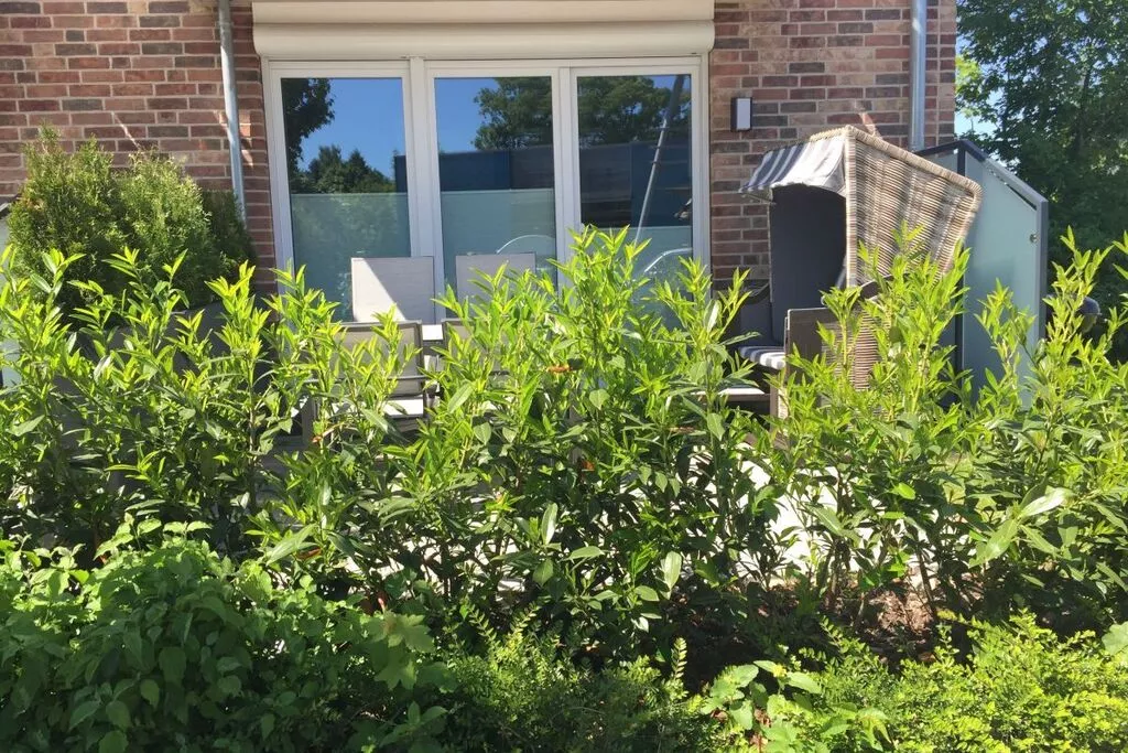 148634-Terrace