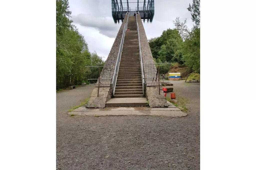 276555-View