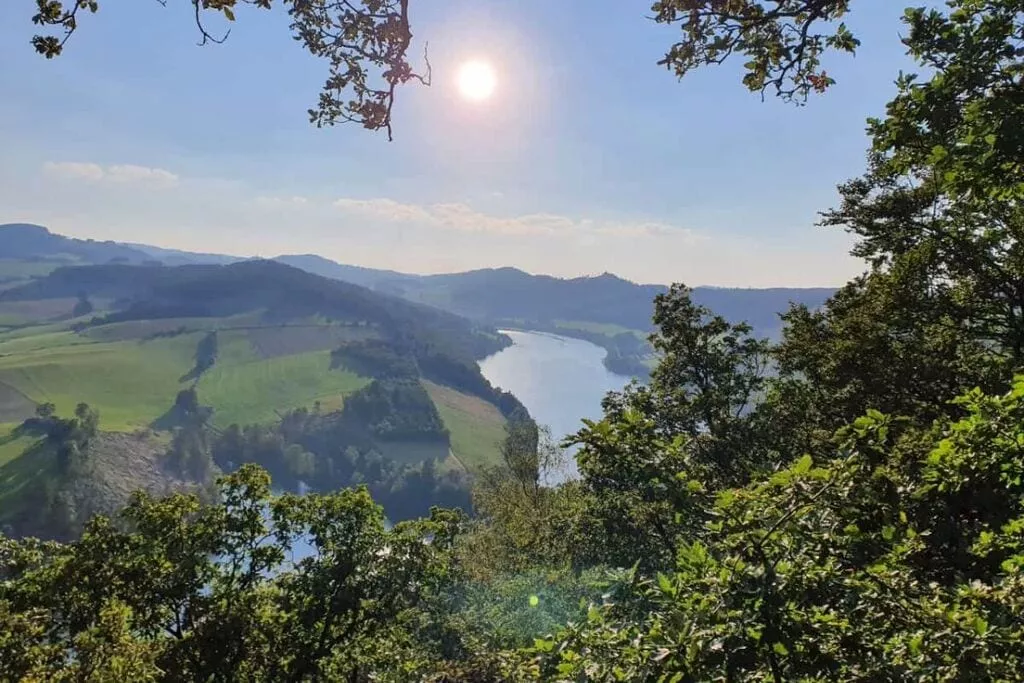 175854-View