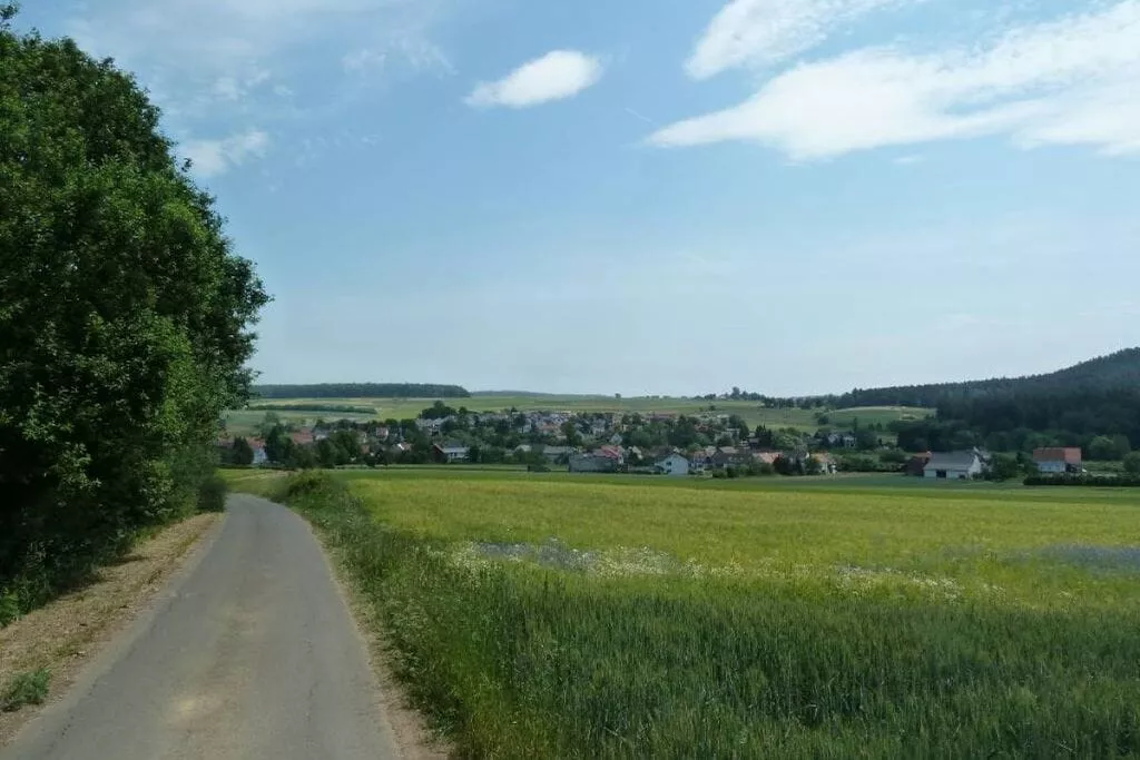 185815-View