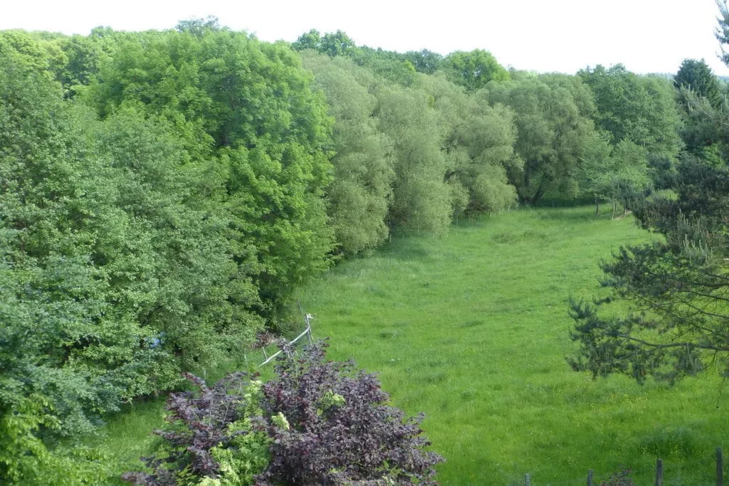 240961-View