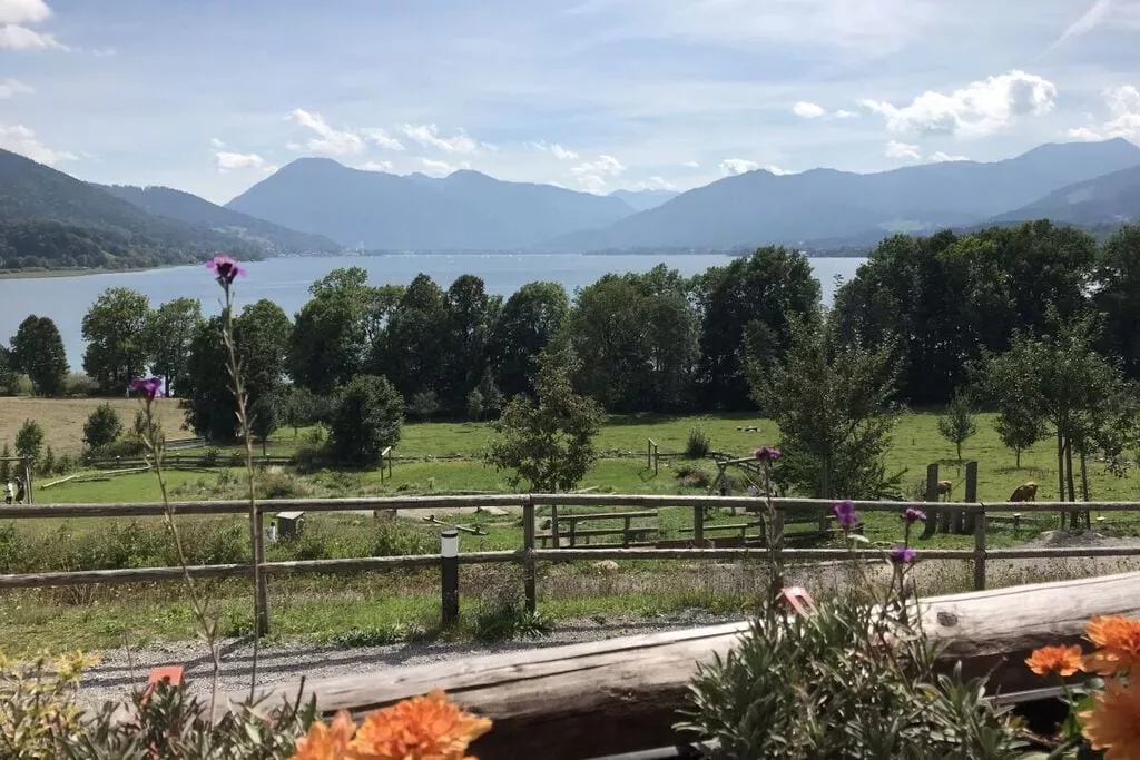 194798-Aussicht