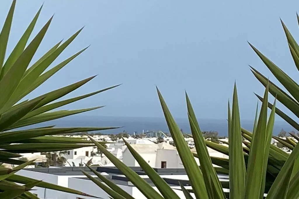 273395-Terrasse