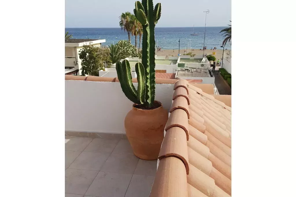 283994-View