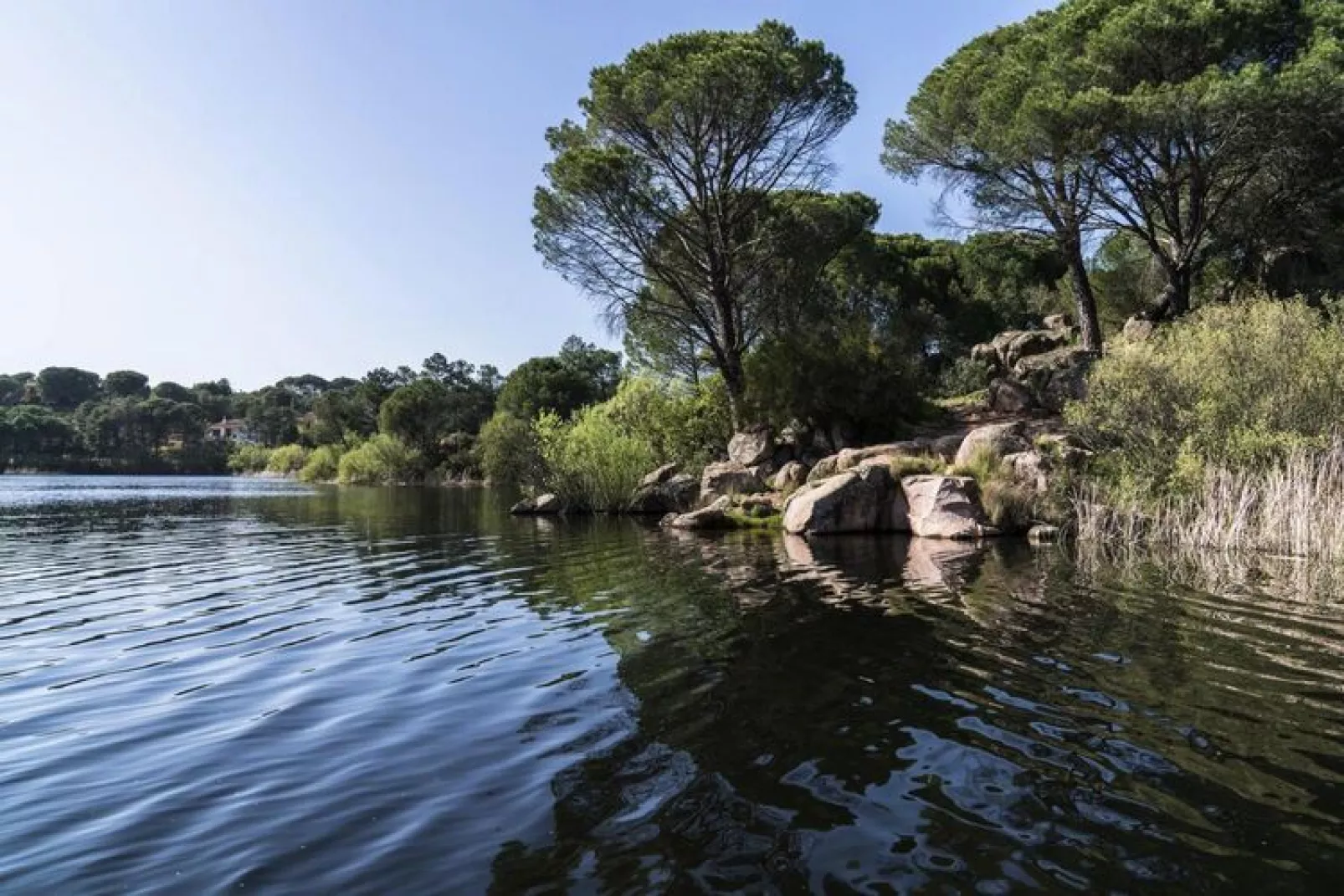 FH in las Jaras - CT 112 4PAX-Water view