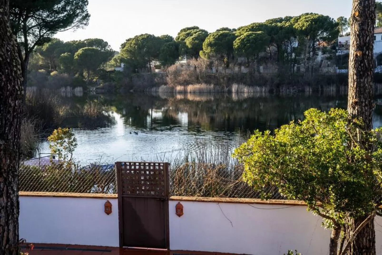 FH in las Jaras - CT 112 4PAX-Water view